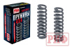 Пружины РИФ передние TANK 300 лифт 45 мм 0-50 кг Jac T9, Sollers ST9 лифт 30 мм 0-50 кг 30-020B