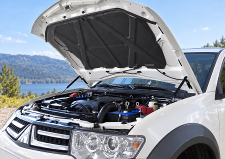 Фото изделия: Амортизаторы капота, 2 шт. Rival Mitsubishi Pajero Sport 2008-2016/ L200 2006-2015 A.ST.4008.1 — изображение 1