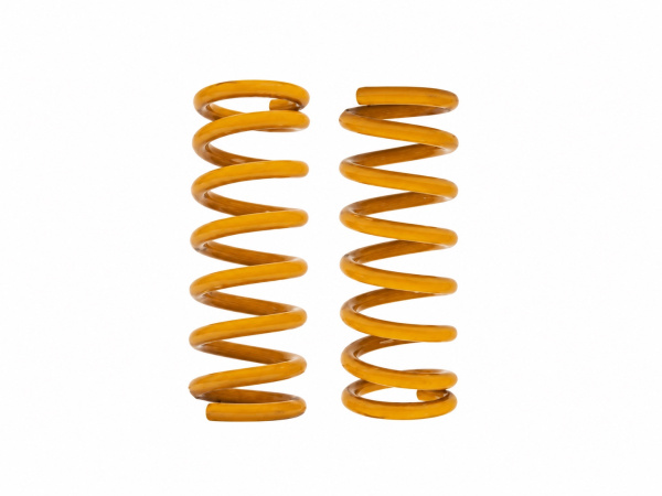 Фото товара: Пружины задние Tough dog для Mitsubishi Pajero, 20 мм лифт, легкая нагрузка до 300 кг TDC632SL-PAIR