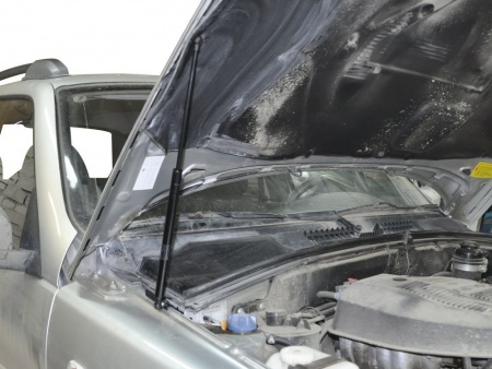 Амортизаторы капота, 2 шт. RIVAL Chevrolet Niva 2002-  A.ST.1004.1
