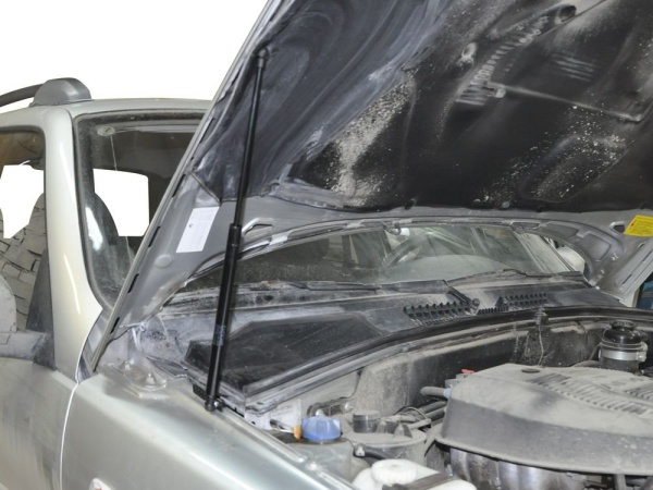 Амортизаторы капота, 2 шт. RIVAL Chevrolet Niva 2002-  A.ST.1004.1