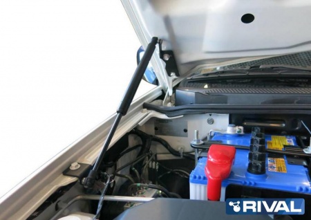 Амортизаторы капота, 2 шт. RIVAL Mitsubishi Pajero Sport 2008-2016/ L200 2006-2015  A.ST.4008.1