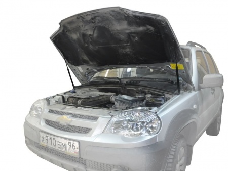 Амортизаторы капота, 2 шт. RIVAL Chevrolet Niva 2002-  A.ST.1004.1