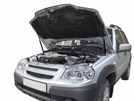 Фото изделия: Амортизаторы капота, 2 шт. Rival Chevrolet Niva 2002- A.ST.1004.1 — изображение 2